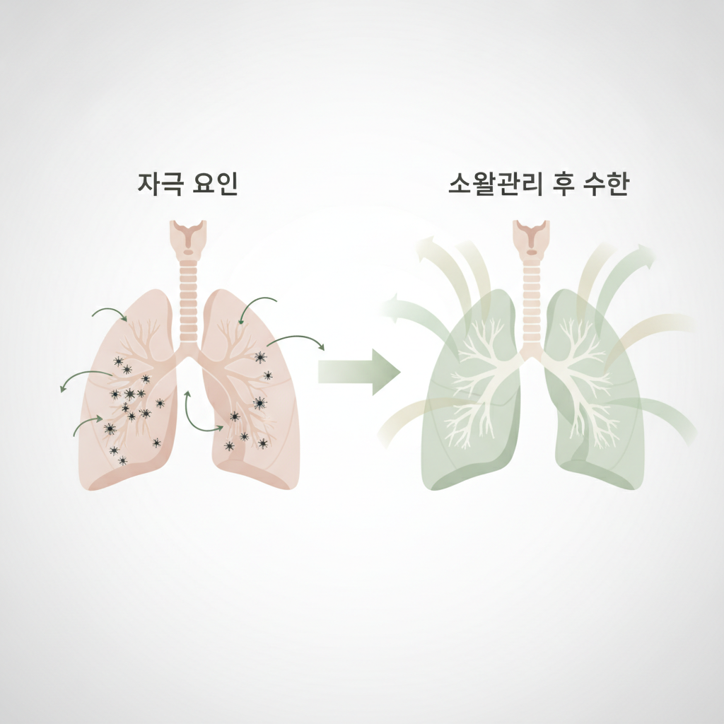 가래 목이물감 - 호흡기 생활관리 원리 설명 그림